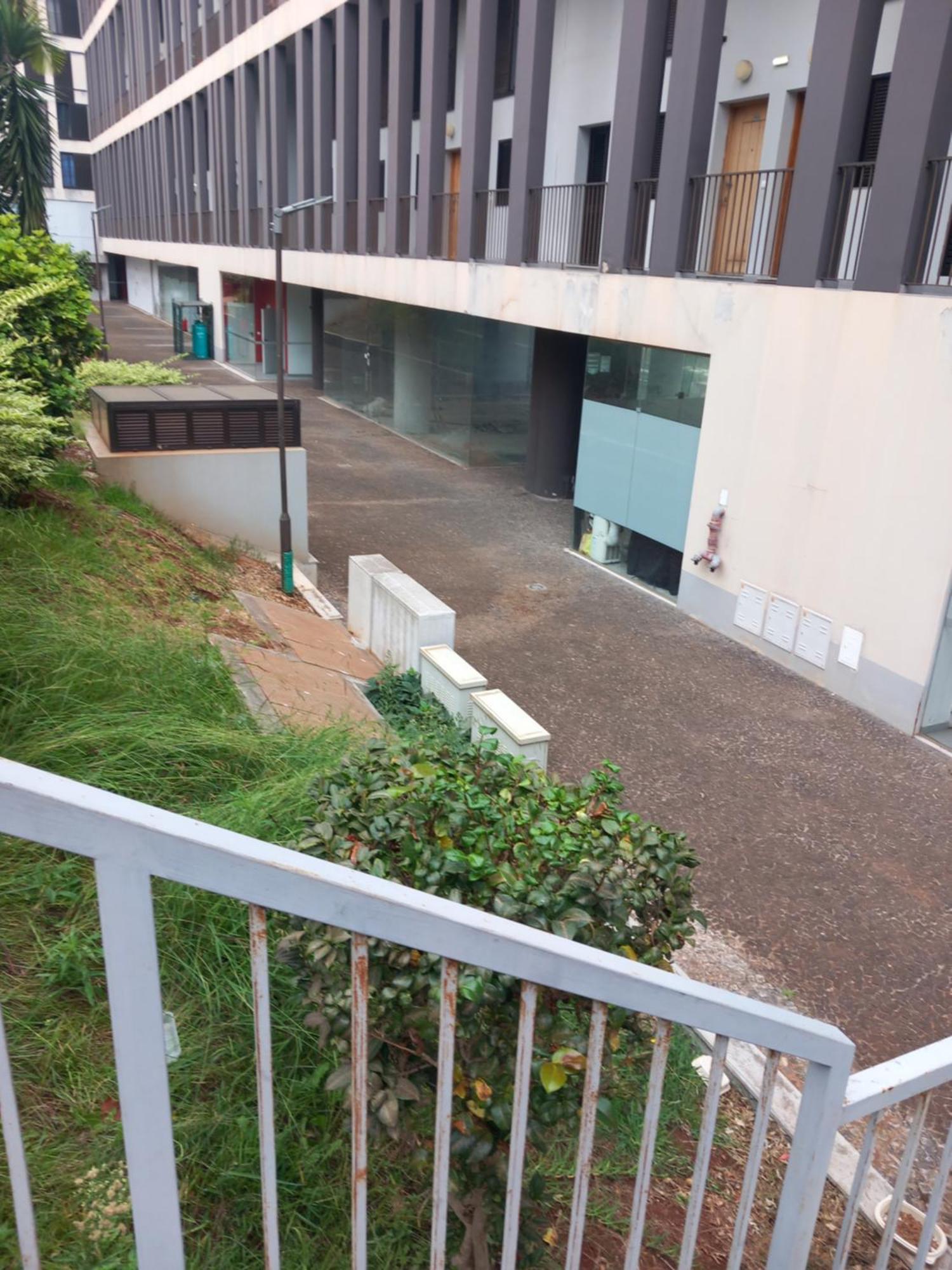Efd Varzea Park Funchal  Bagian luar foto